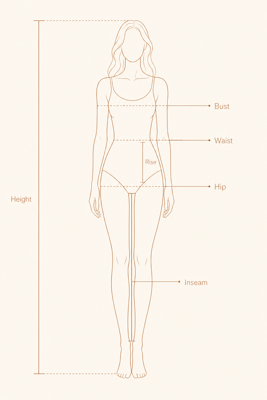 Illustration showing where to measure: height, bust, waist, rise, hip and inseam